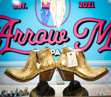 Load image into Gallery viewer, Ariat Dixon—Royalty Shine
