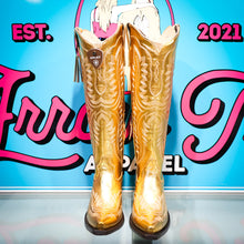 Load image into Gallery viewer, Ariat Casanova--Royalty Shine
